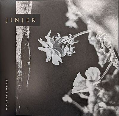 Jinjer - Wallflowers LP